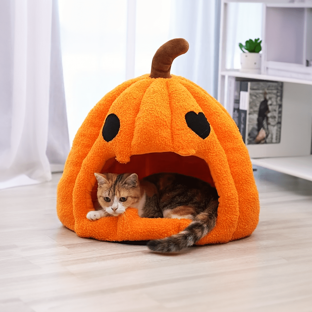 Pumpkin Cat Calming Bed Cat Bed