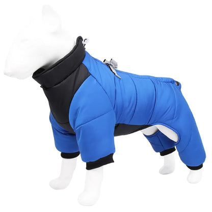 Canine Comfort :  Weatherproof Jacket Blue / Small Dog Rain Coat