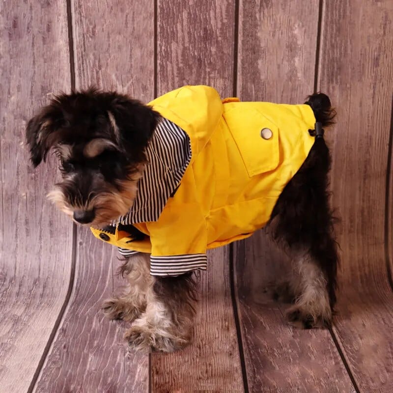 GoldenGuard: All-Breed Waterproof Jacket Dog Rain Coat