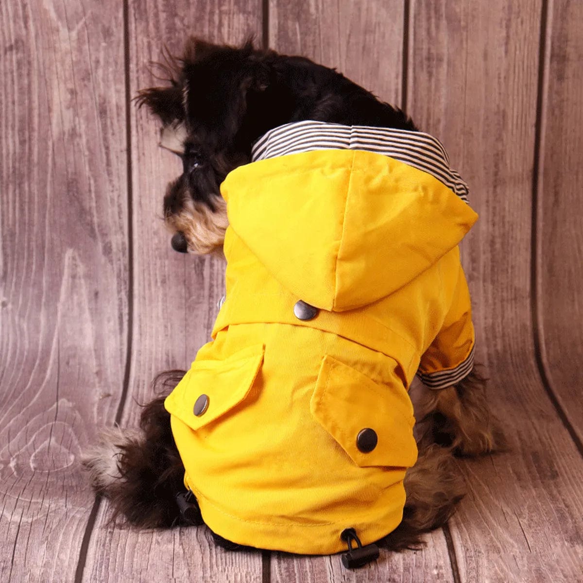 GoldenGuard: All-Breed Waterproof Jacket Dog Rain Coat