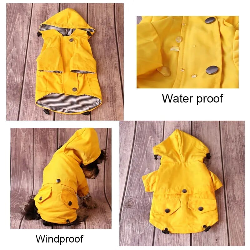 GoldenGuard: All-Breed Waterproof Jacket Dog Rain Coat