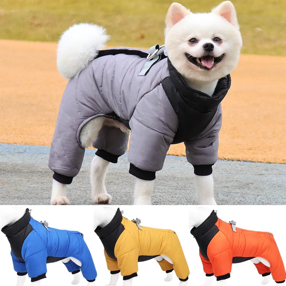 Canine Comfort :  Weatherproof Jacket Gray / Small Dog Rain Coat