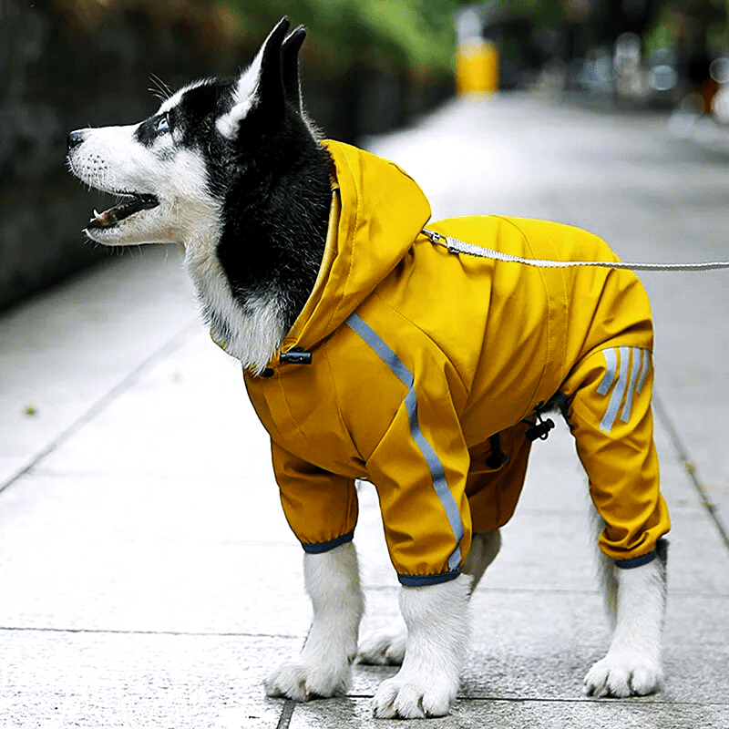 Night-Safe Reflective Dog Raincoat Yellow / Small Dog Rain Coat